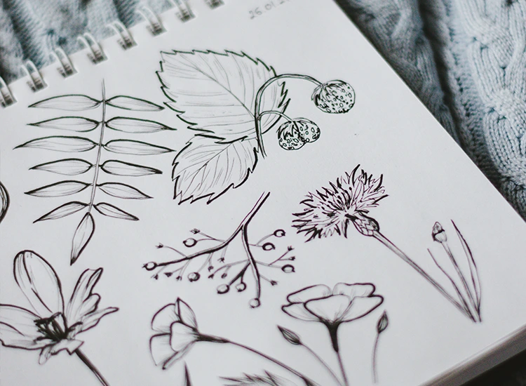 აუცილებელია თუ არა ხატვის ცოდნა გრაფიკულ დიზაინში?